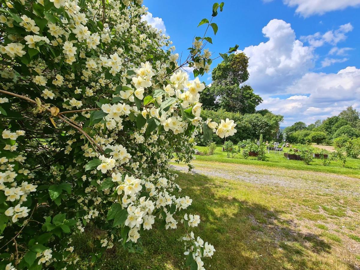 Risberg Herrgard Hagfors Esterno foto